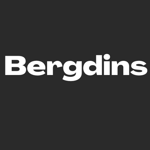 The Bergdins