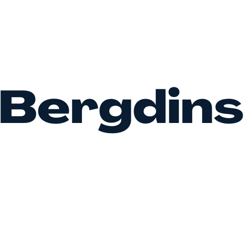 The Bergdins